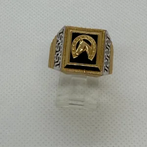 Anillo de Herradura en Oro 10K
